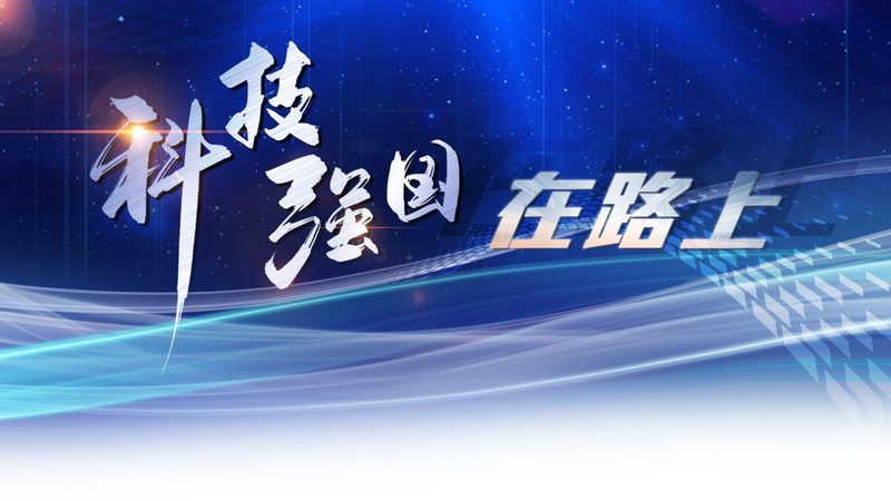 政府科技服务项目招标报价：如何精准把握关键要素**